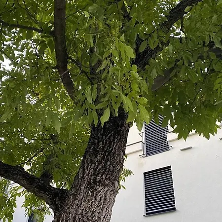 Apartment Wohnen Bahnstrasse 5 Klagenfurt am Wörthersee