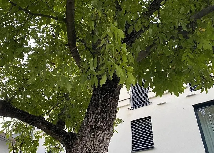 Apartament Wohnen Bahnstrasse 5 Klagenfurt am Woerthersee